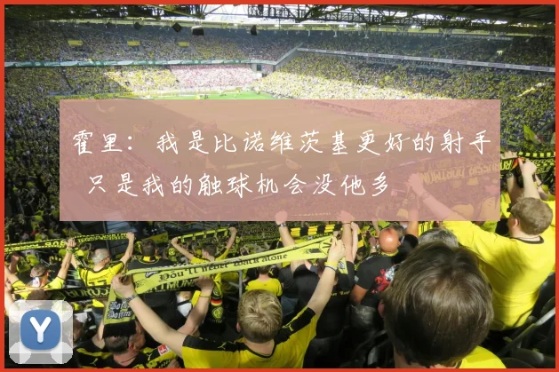霍里：我是比诺维茨基更好的射手  只是我的触球机会没他多