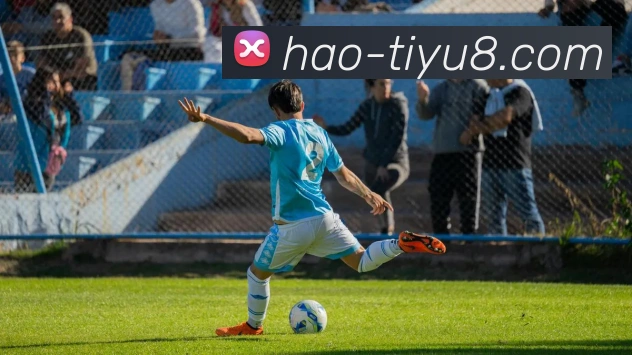 企业概况